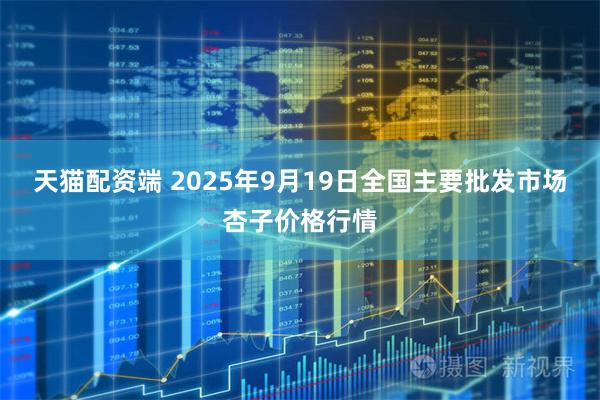 天猫配资端 2025年9月19日全国主要批发市场杏子价格行情