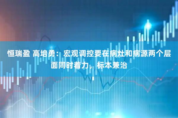 恒瑞盈 高培勇：宏观调控要在病灶和病源两个层面同时着力，标本兼治