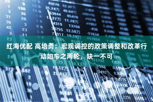 红海优配 高培勇：宏观调控的政策调整和改革行动如车之两轮，缺一不可