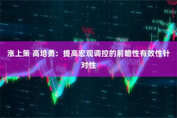 涨上策 高培勇：提高宏观调控的前瞻性有效性针对性