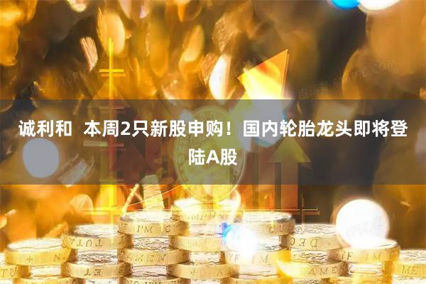 诚利和  本周2只新股申购！国内轮胎龙头即将登陆A股