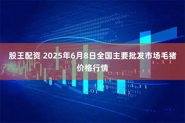 股王配资 2025年6月8日全国主要批发市场毛猪价格行情