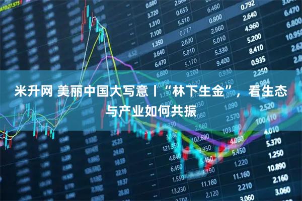 米升网 美丽中国大写意丨“林下生金”，看生态与产业如何共振