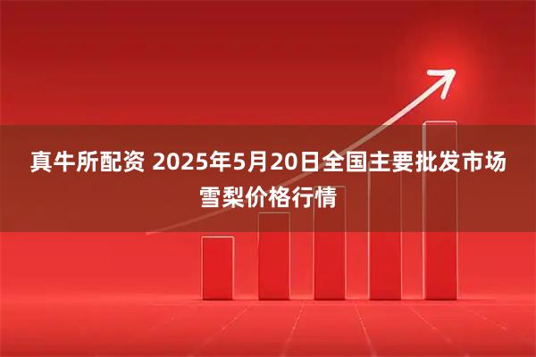 真牛所配资 2025年5月20日全国主要批发市场雪梨价格行情