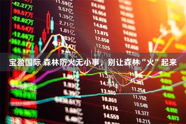 宝盈国际 森林防火无小事，别让森林“火”起来