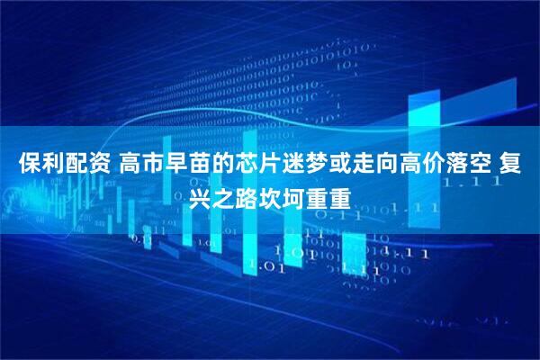 保利配资 高市早苗的芯片迷梦或走向高价落空 复兴之路坎坷重重