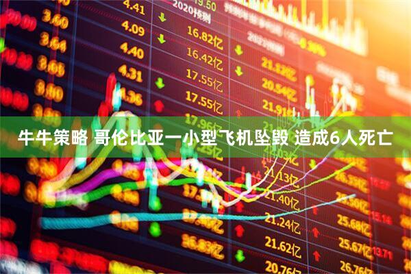 牛牛策略 哥伦比亚一小型飞机坠毁 造成6人死亡