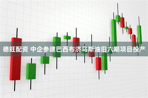 德旺配资 中企参建巴西布济乌斯油田六期项目投产