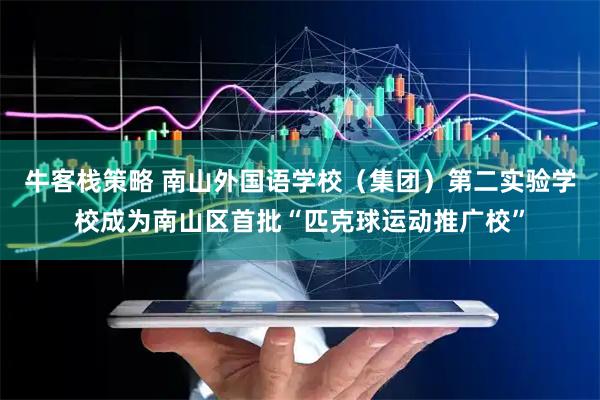 牛客栈策略 南山外国语学校（集团）第二实验学校成为南山区首批“匹克球运动推广校”