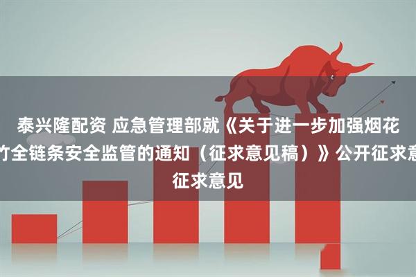 泰兴隆配资 应急管理部就《关于进一步加强烟花爆竹全链条安全监管的通知（征求意见稿）》公开征求意见