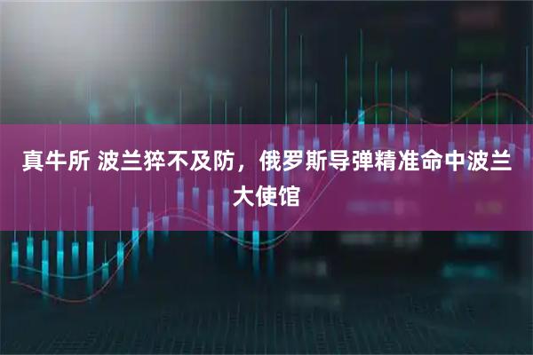 真牛所 波兰猝不及防，俄罗斯导弹精准命中波兰大使馆
